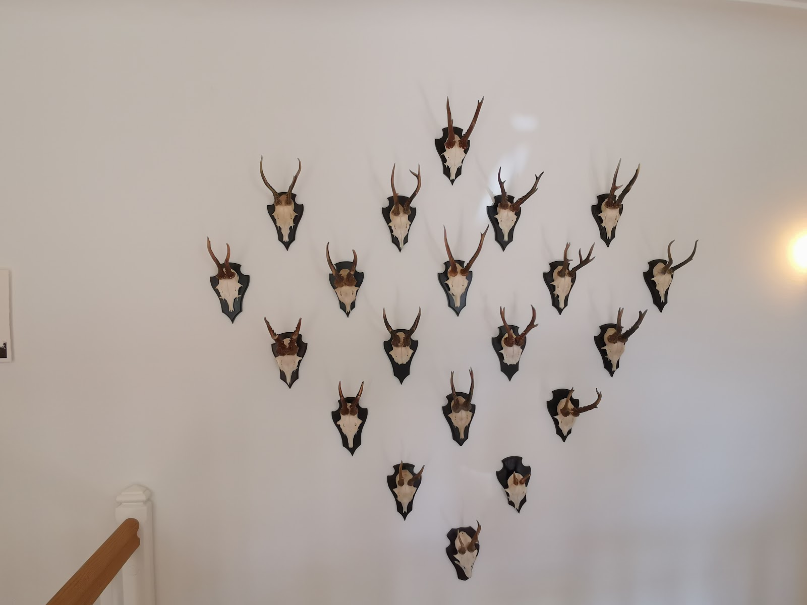 Jagdschloss Karlsbrunn Galerie