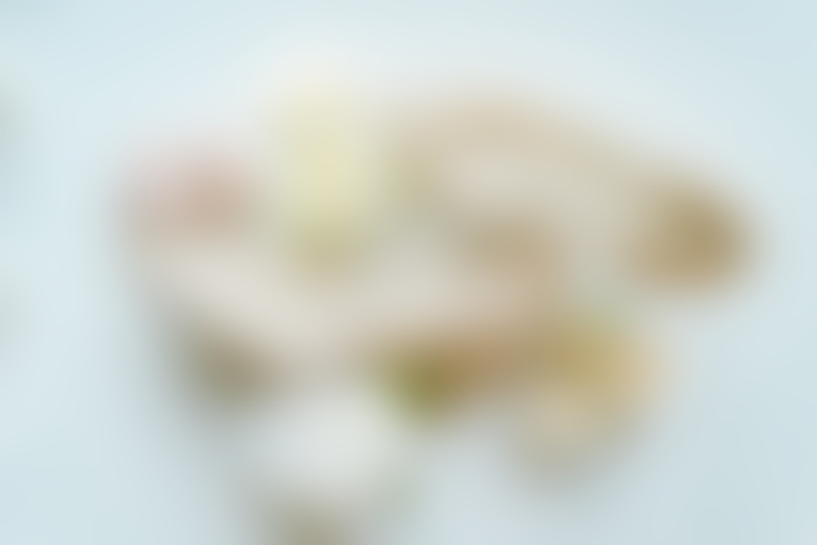 Johanna Sophie Fotografie - 01