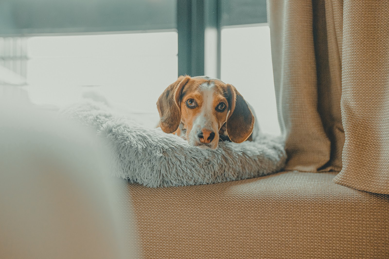 John & Will Silo-Hotel by Guldsmeden Galerie