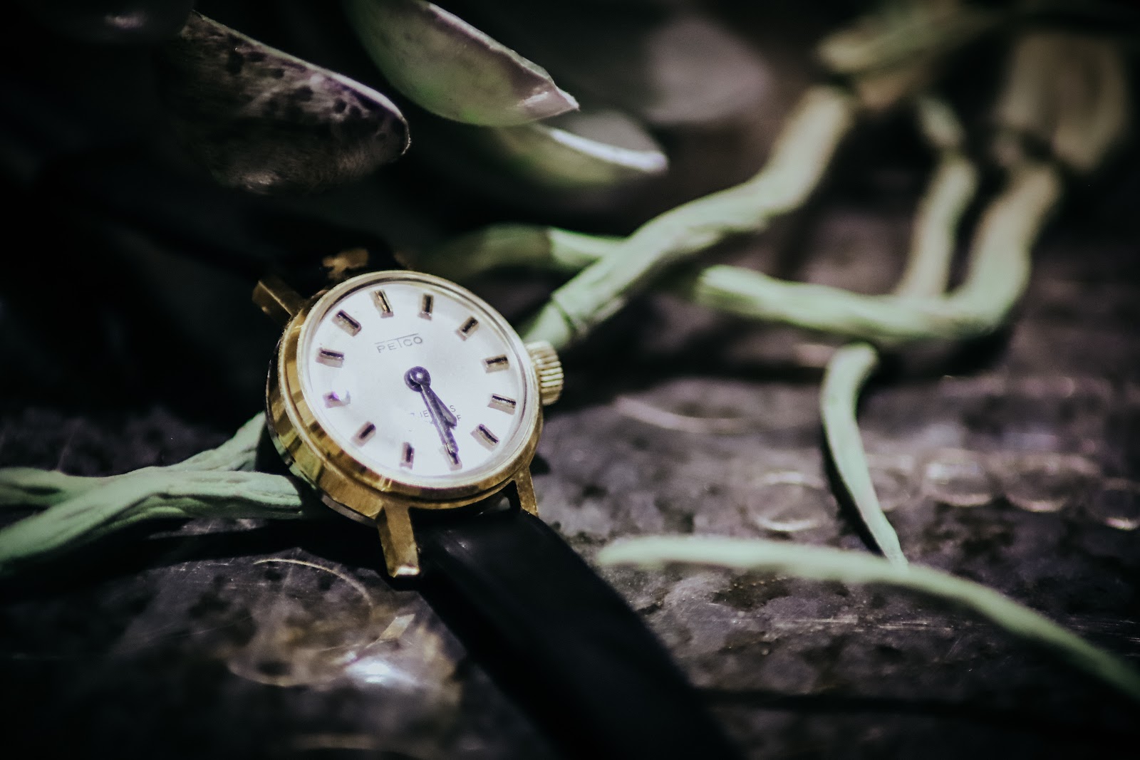 Juwelier Common Galerie