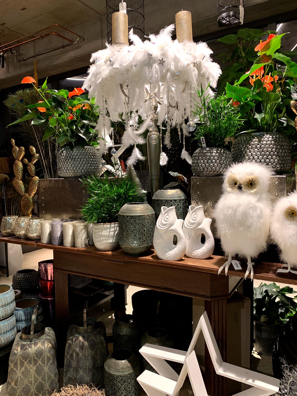 Kians Garden Galerie