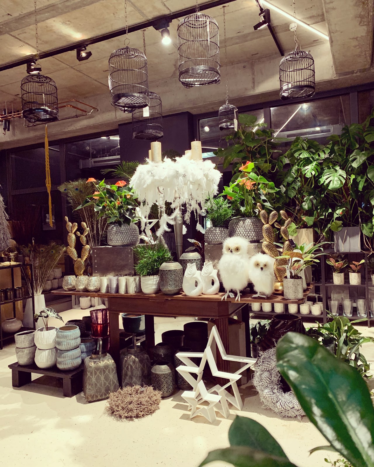 Kians Garden Galerie