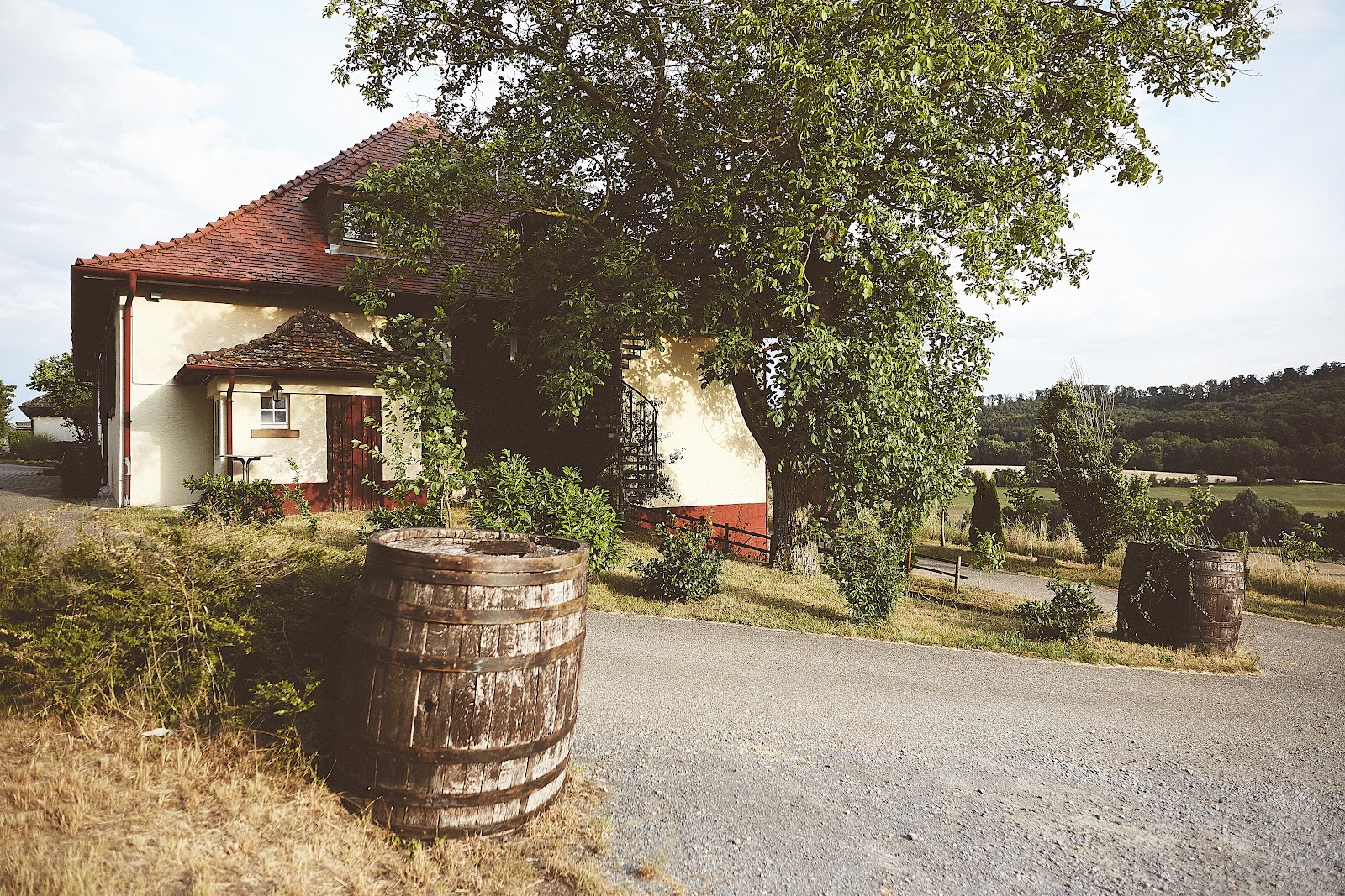 Klosterkelter Galerie