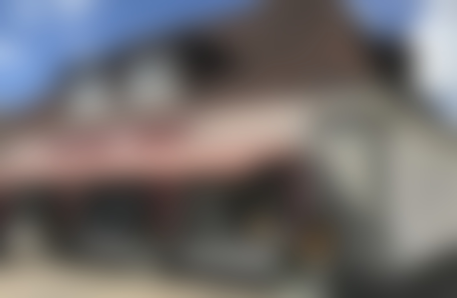 Kopf Orchideen und Floristik - 01