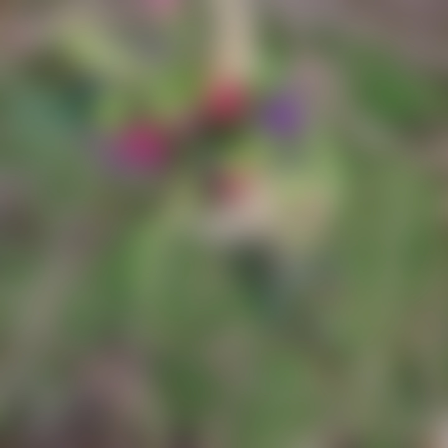 kreatives Blütenspiel - 01