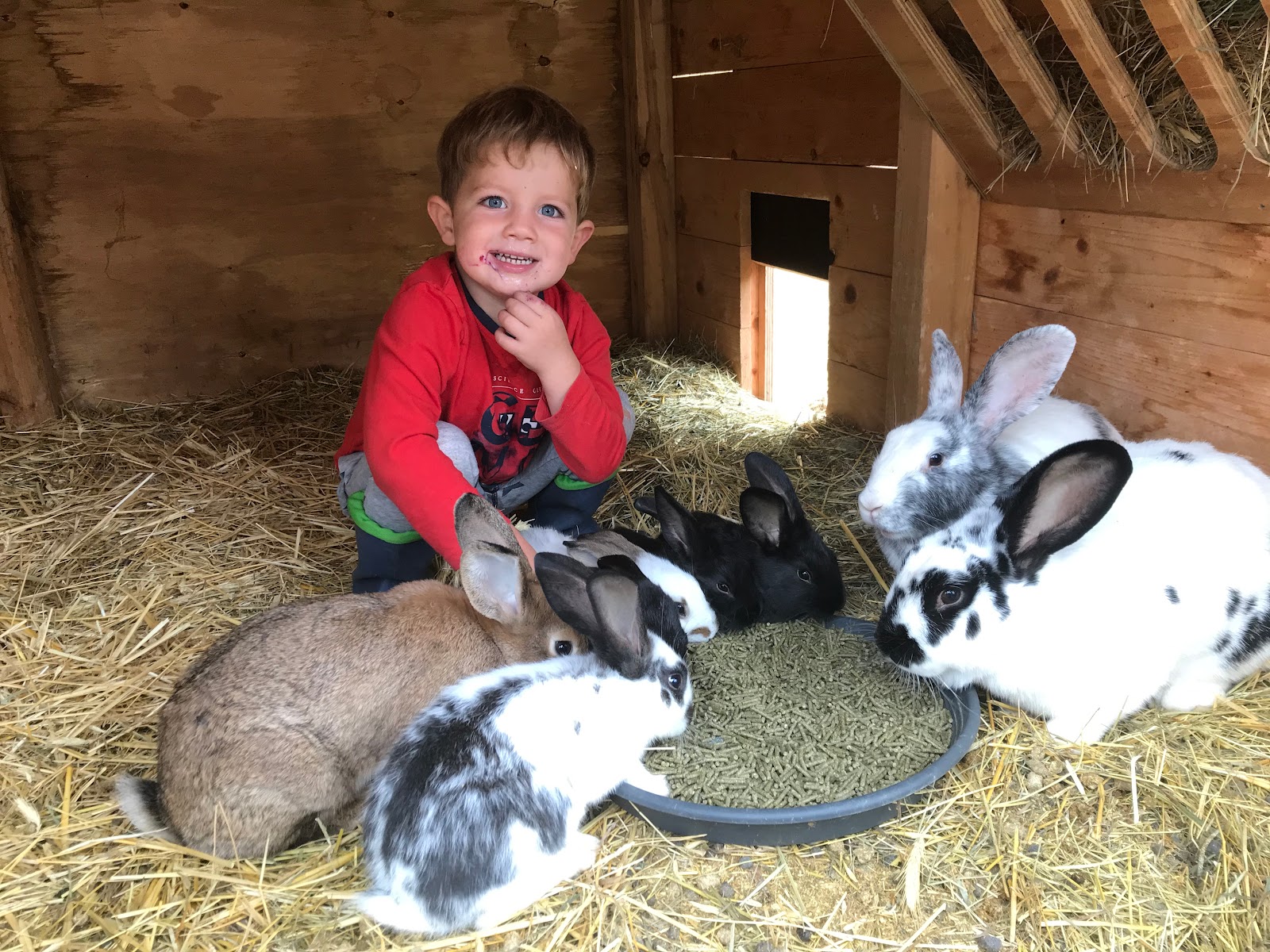 Landkulturhof Glücksbringer Galerie