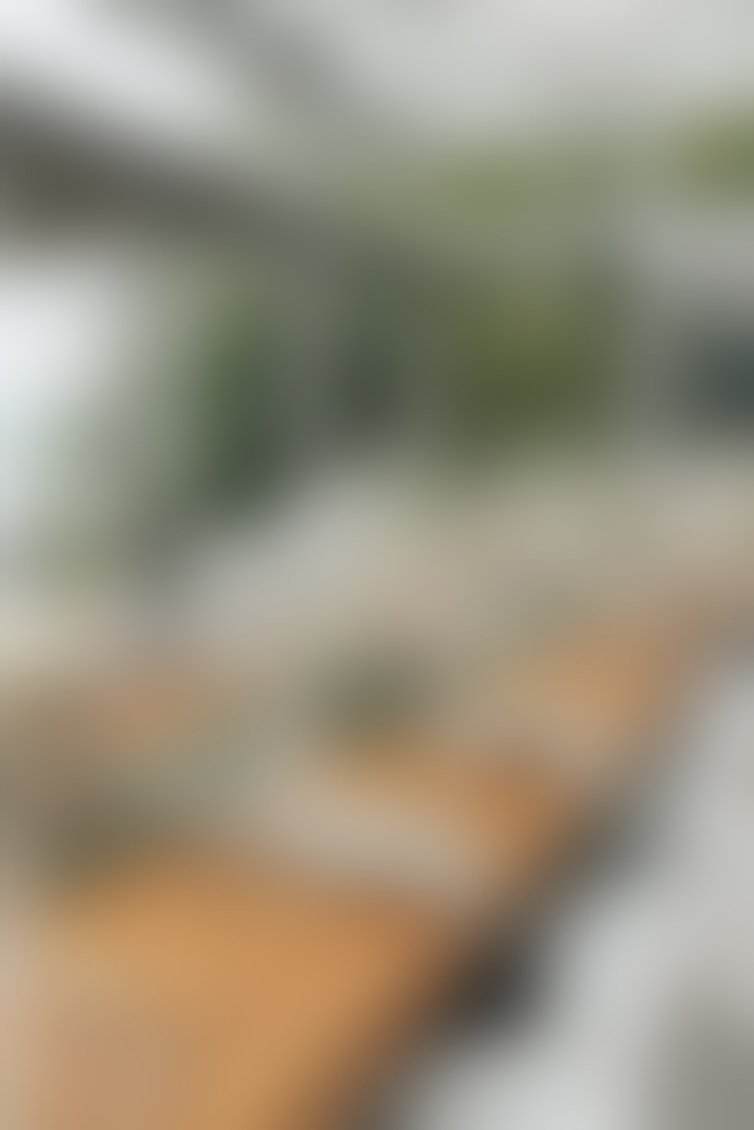 Märchenhochzeit - 01