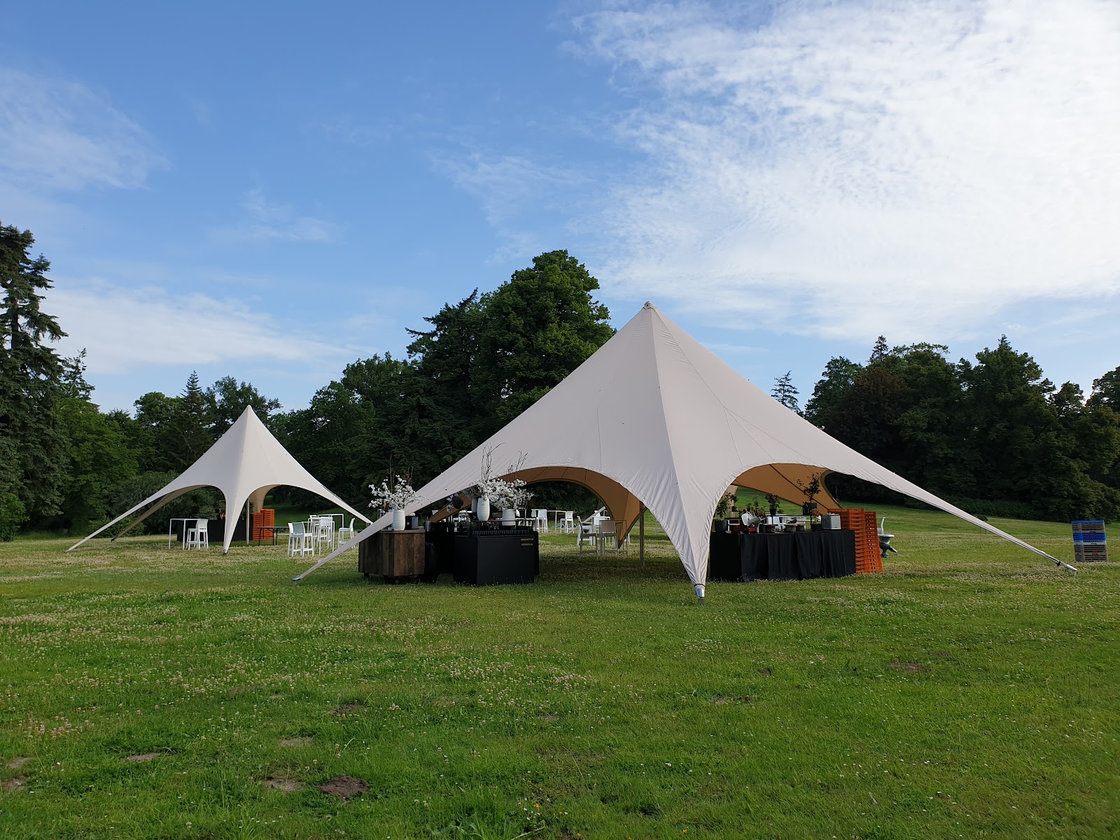 Mandy Knebusch Galerie