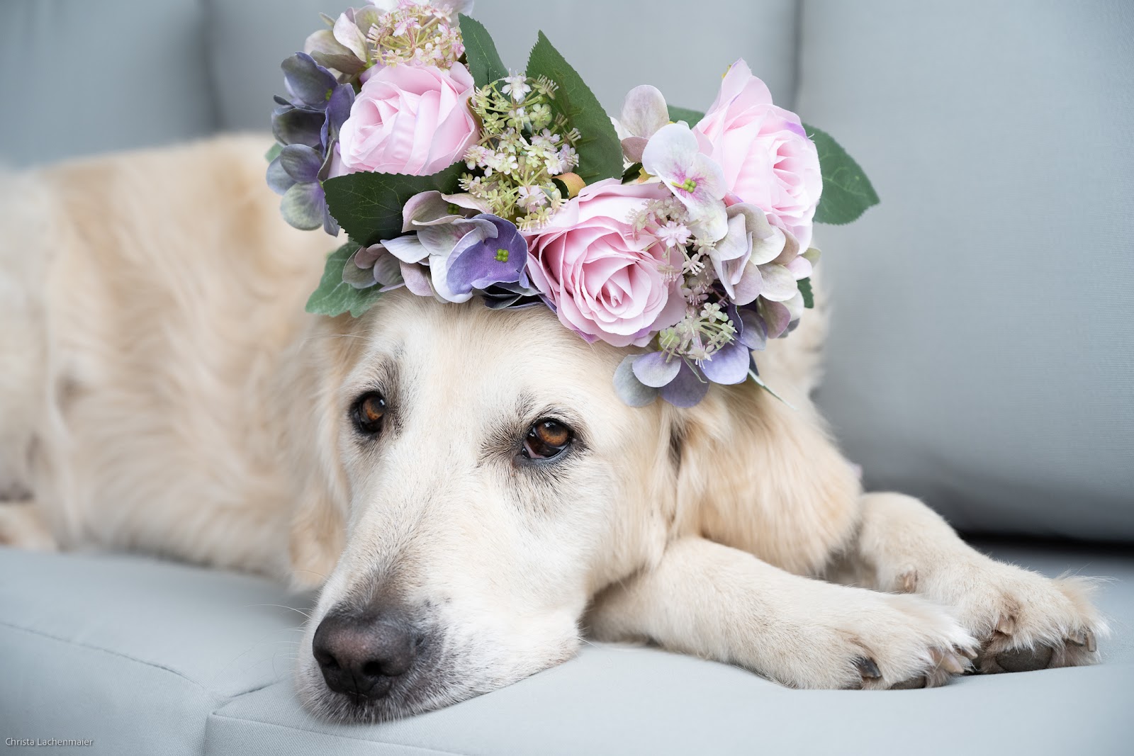 Mariages de Flore - Wedding Planer Galerie