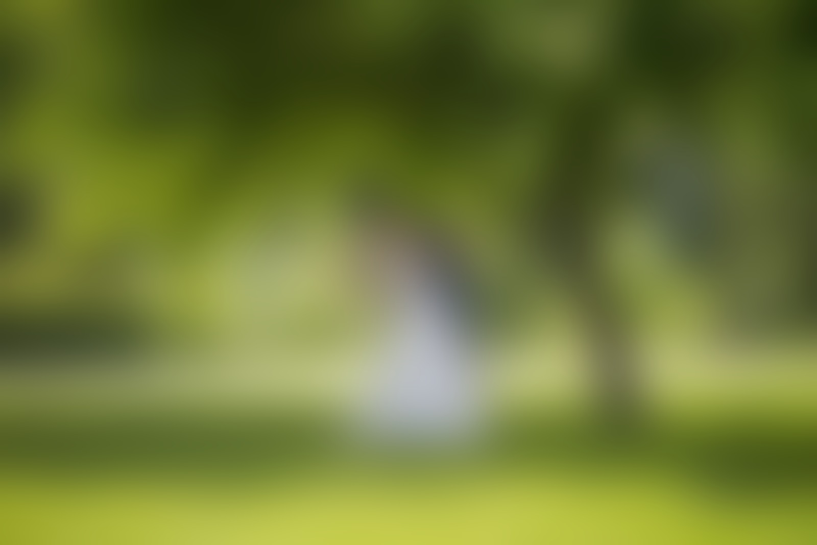 Mick Zollenkopf - 01