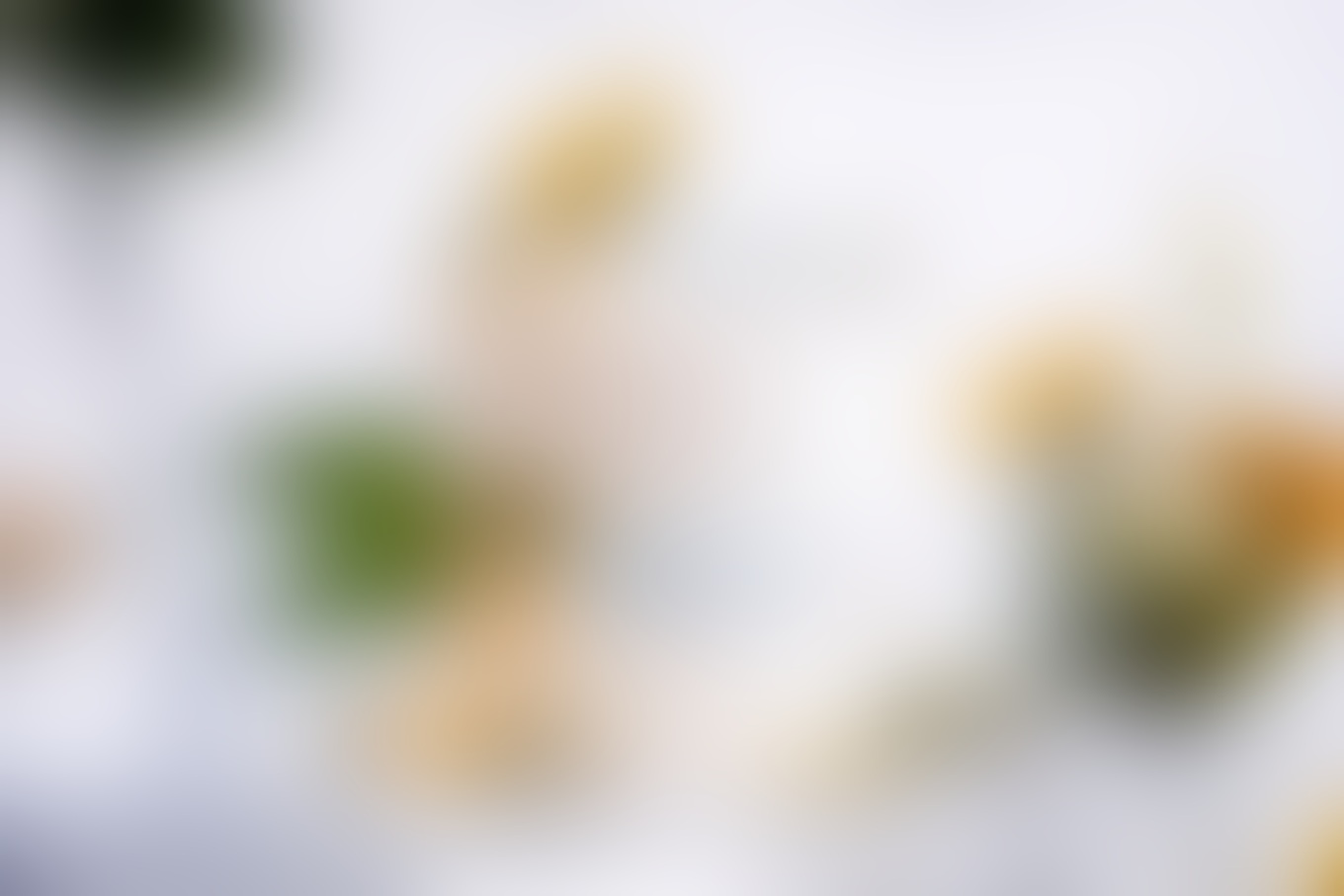 mundus-Fine Art Bakery - 01