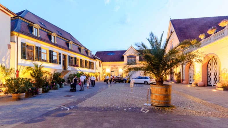 Palais Schloss Wachenheim - 01