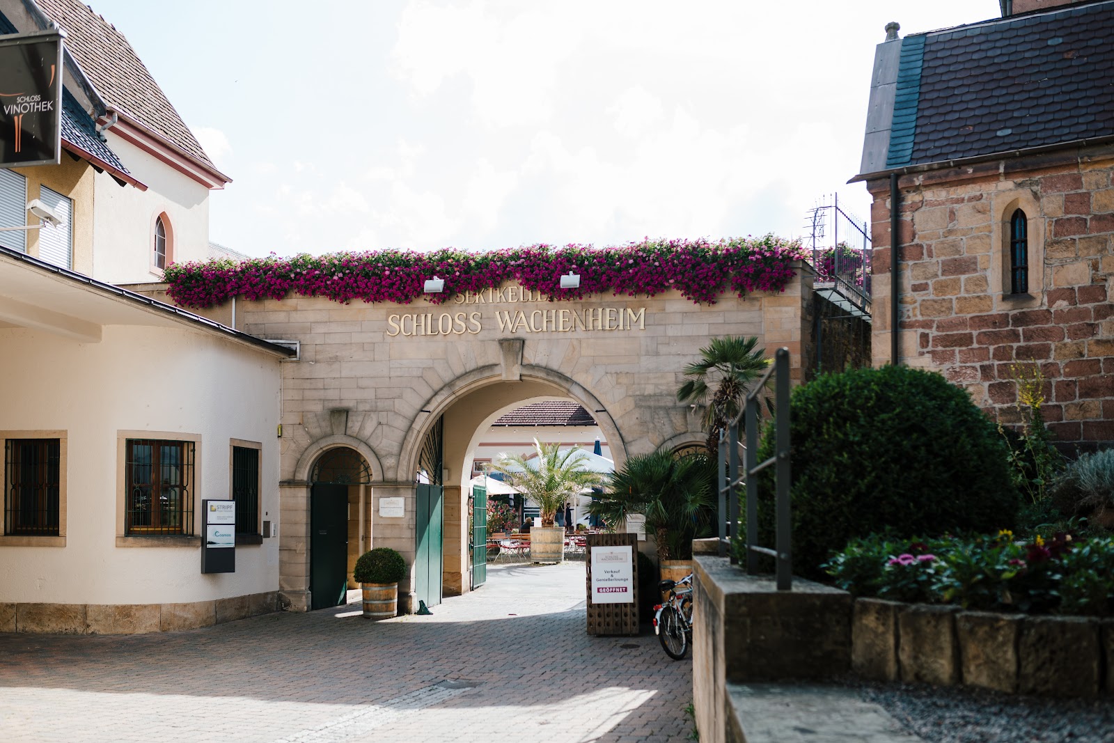 Palais Schloss Wachenheim Galerie