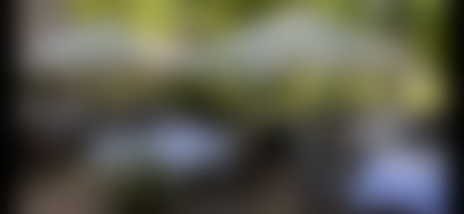 Parkrestaurant Alte Mühle - 01