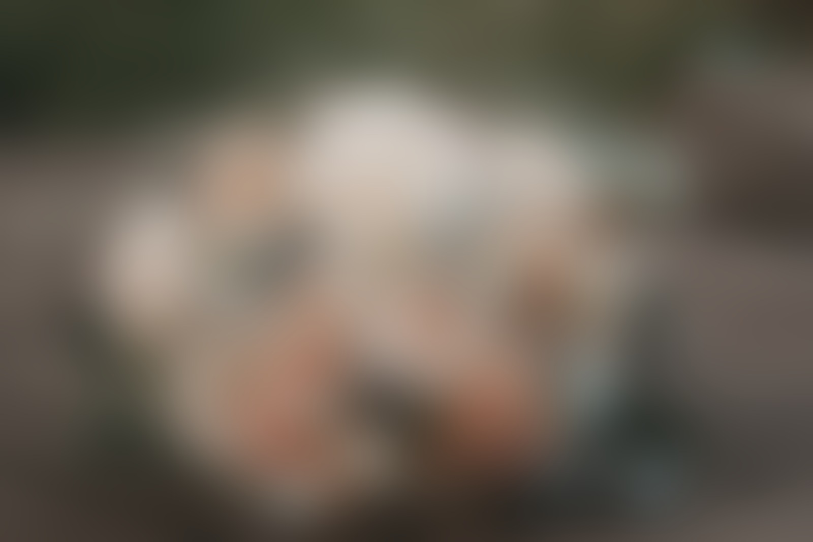 Patrick Bertsche - 01