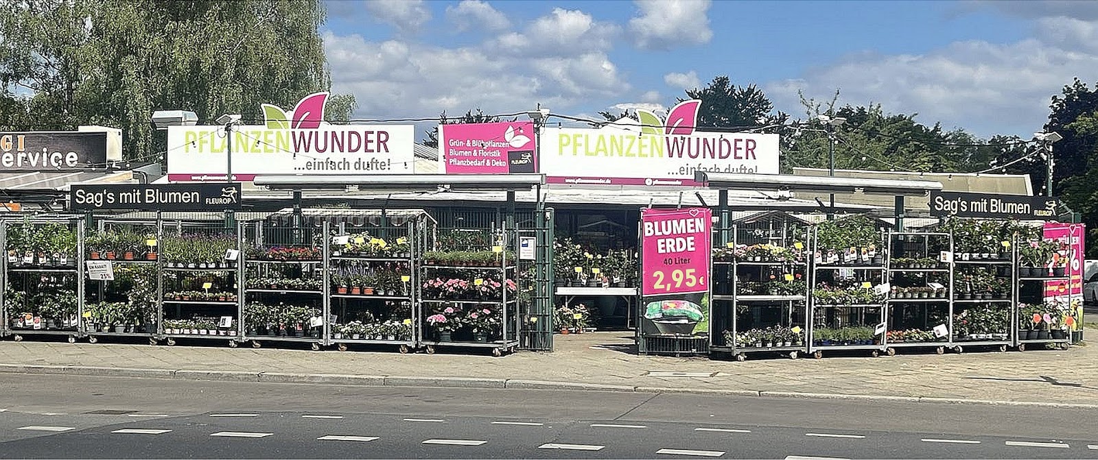 PflanzenWunder - 01
