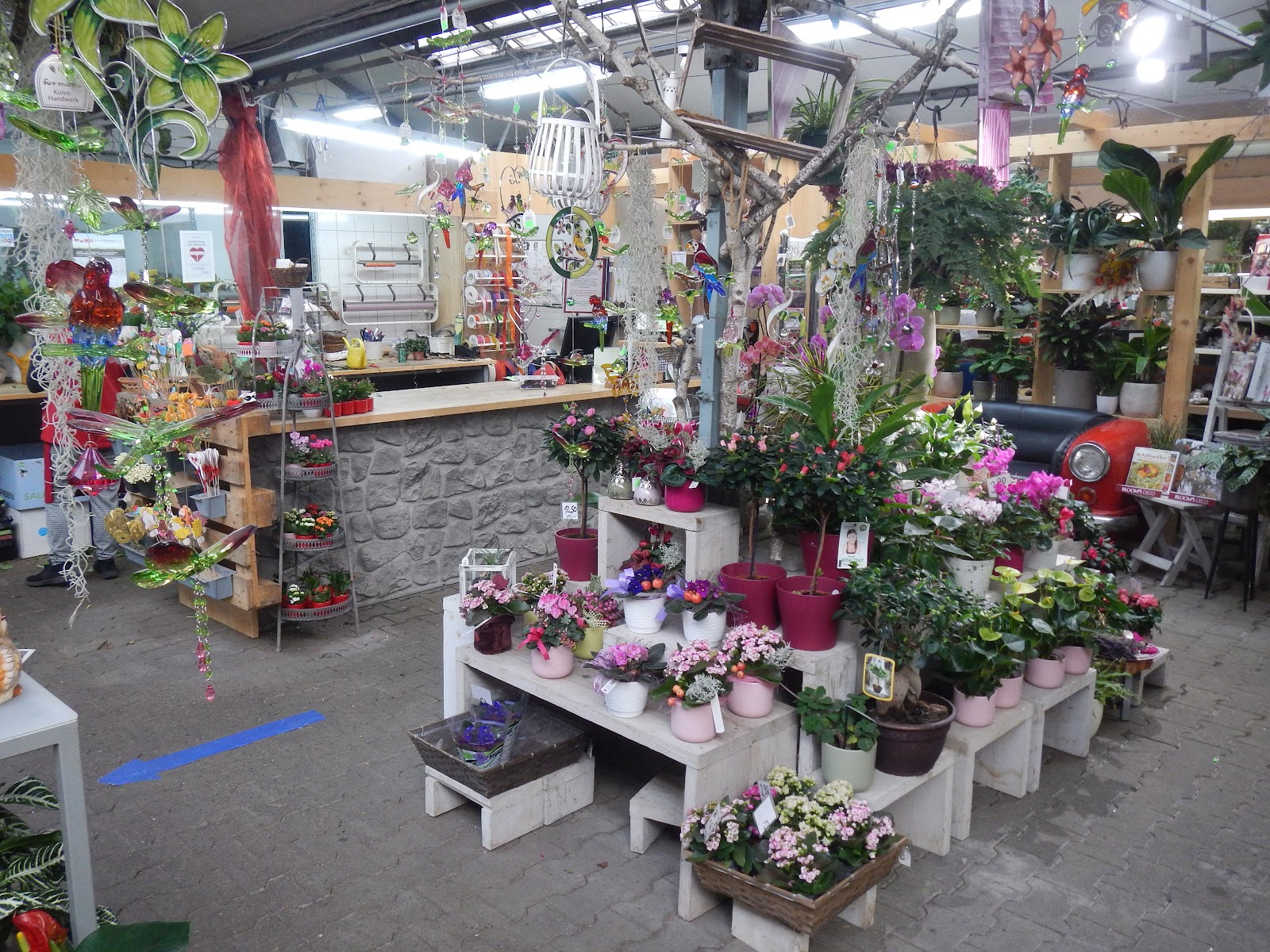 PflanzenWunder Galerie