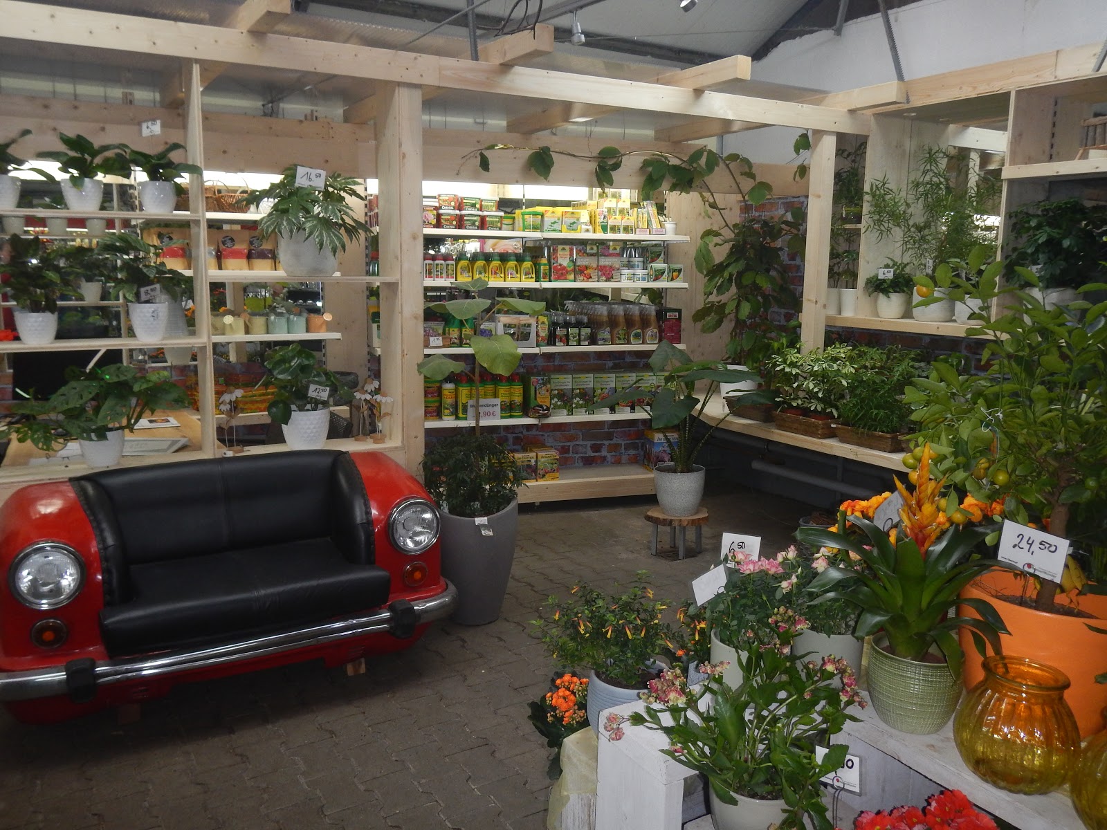 PflanzenWunder Galerie