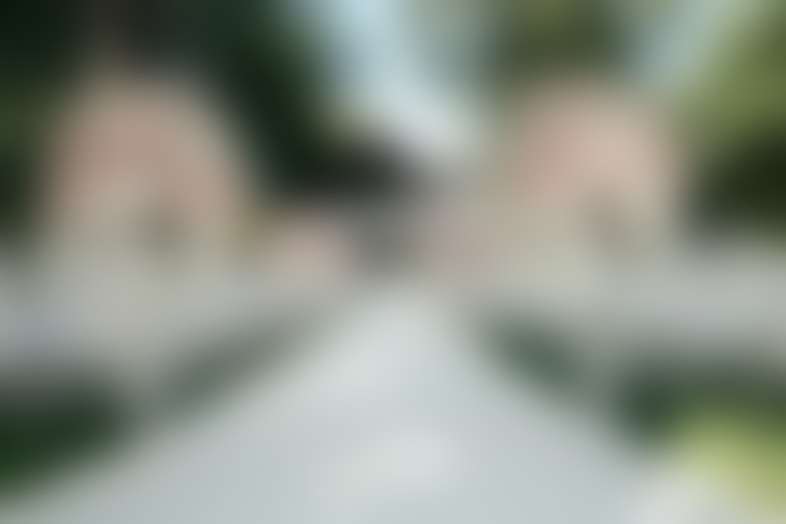 Reinweiss Hochzeiten - 01