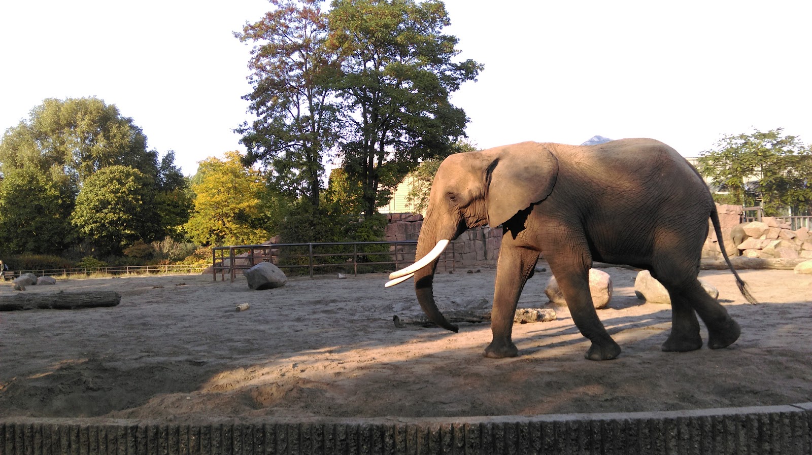 Schloss Friedrichsfelde Galerie