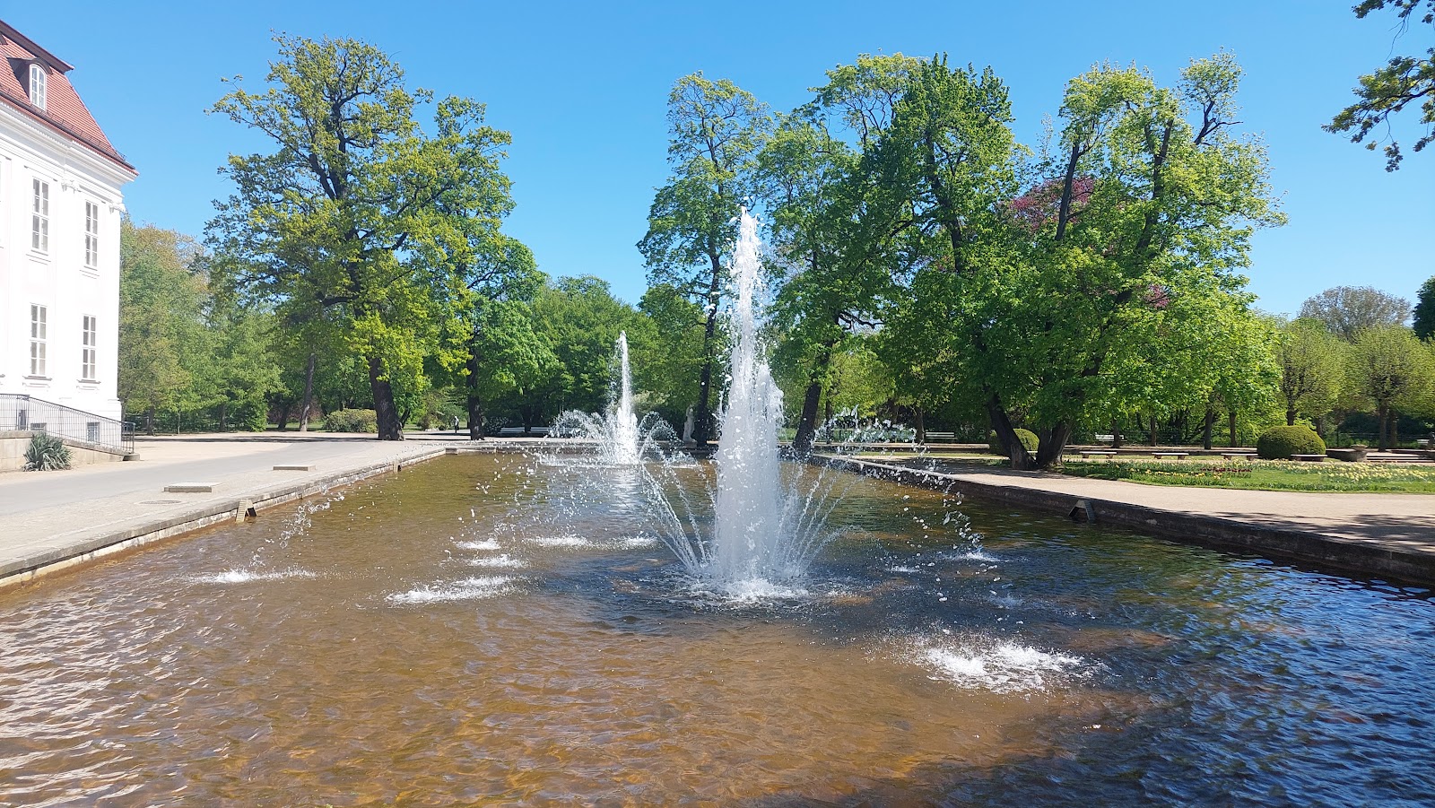 Schloss Friedrichsfelde Galerie
