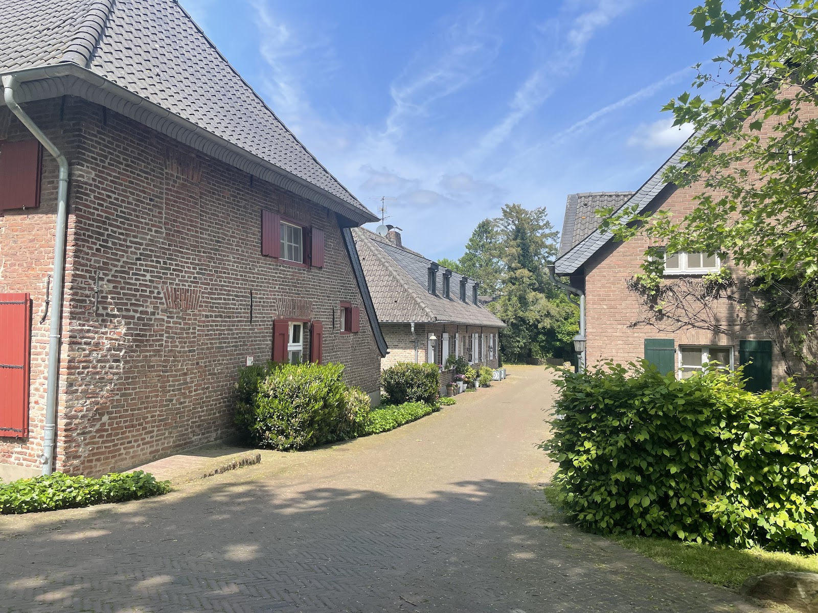 Schloss Wissen Galerie