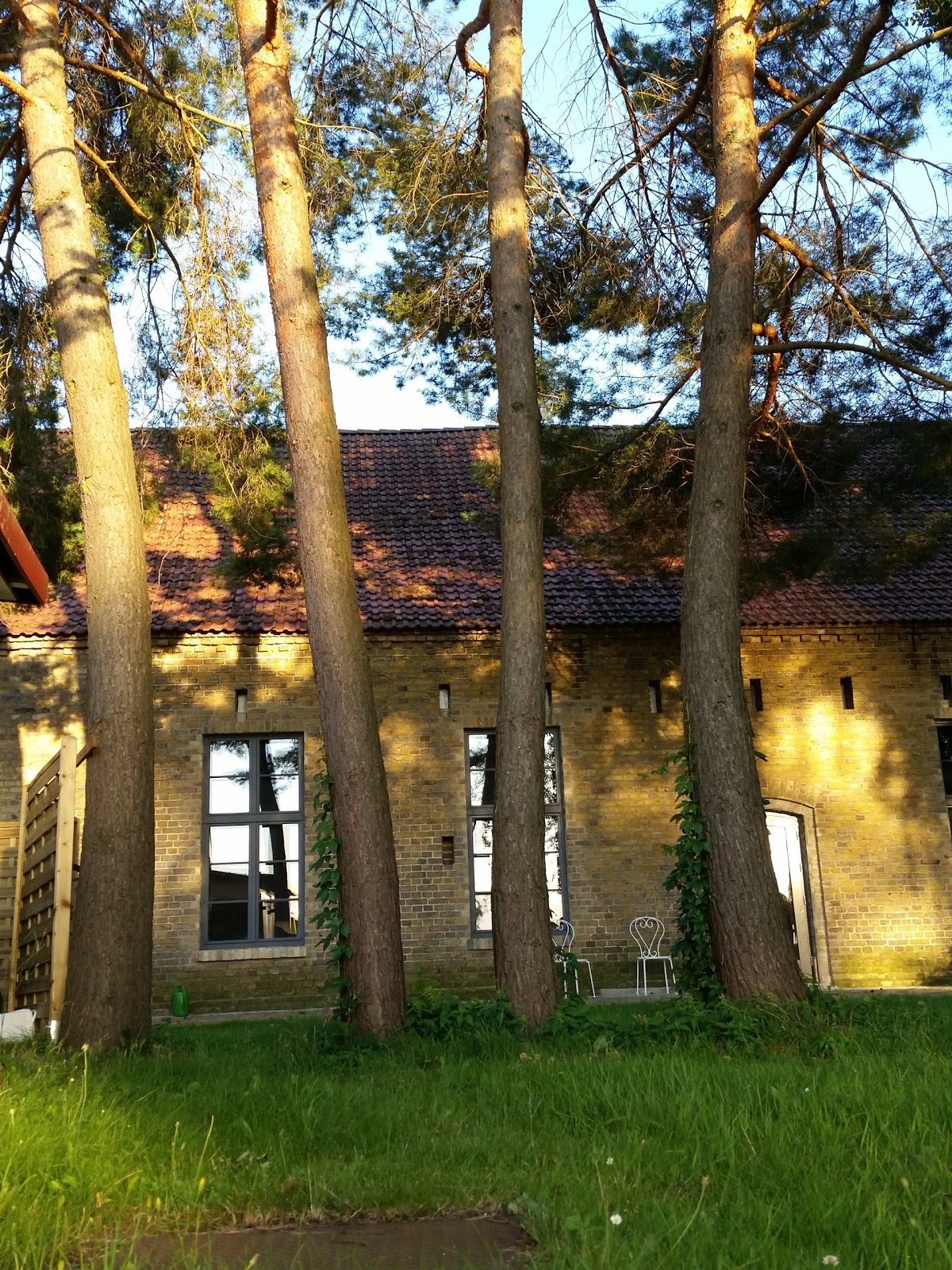 Schönberg Scheune Galerie