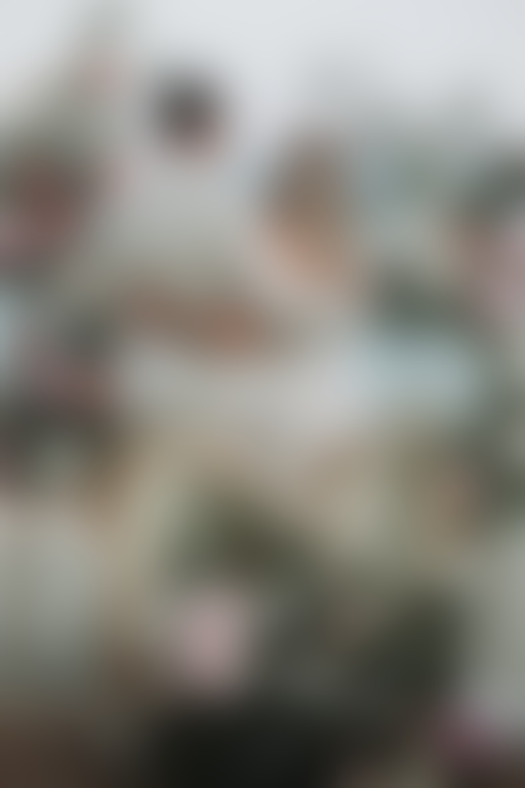 Si! Weddings. Elena Reich - 01