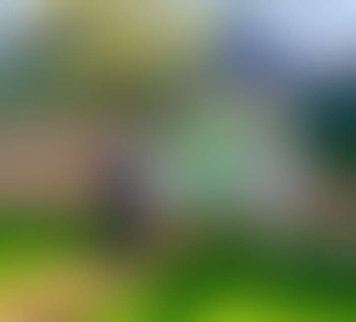 Siegbert Toepfer - 01