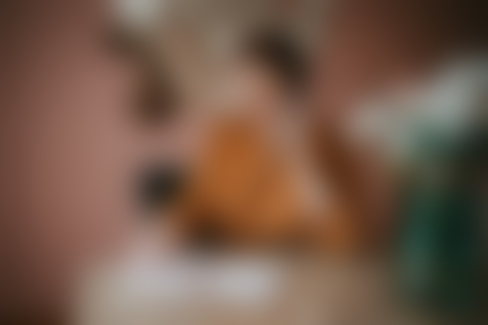 Sophia Seiffert - 01