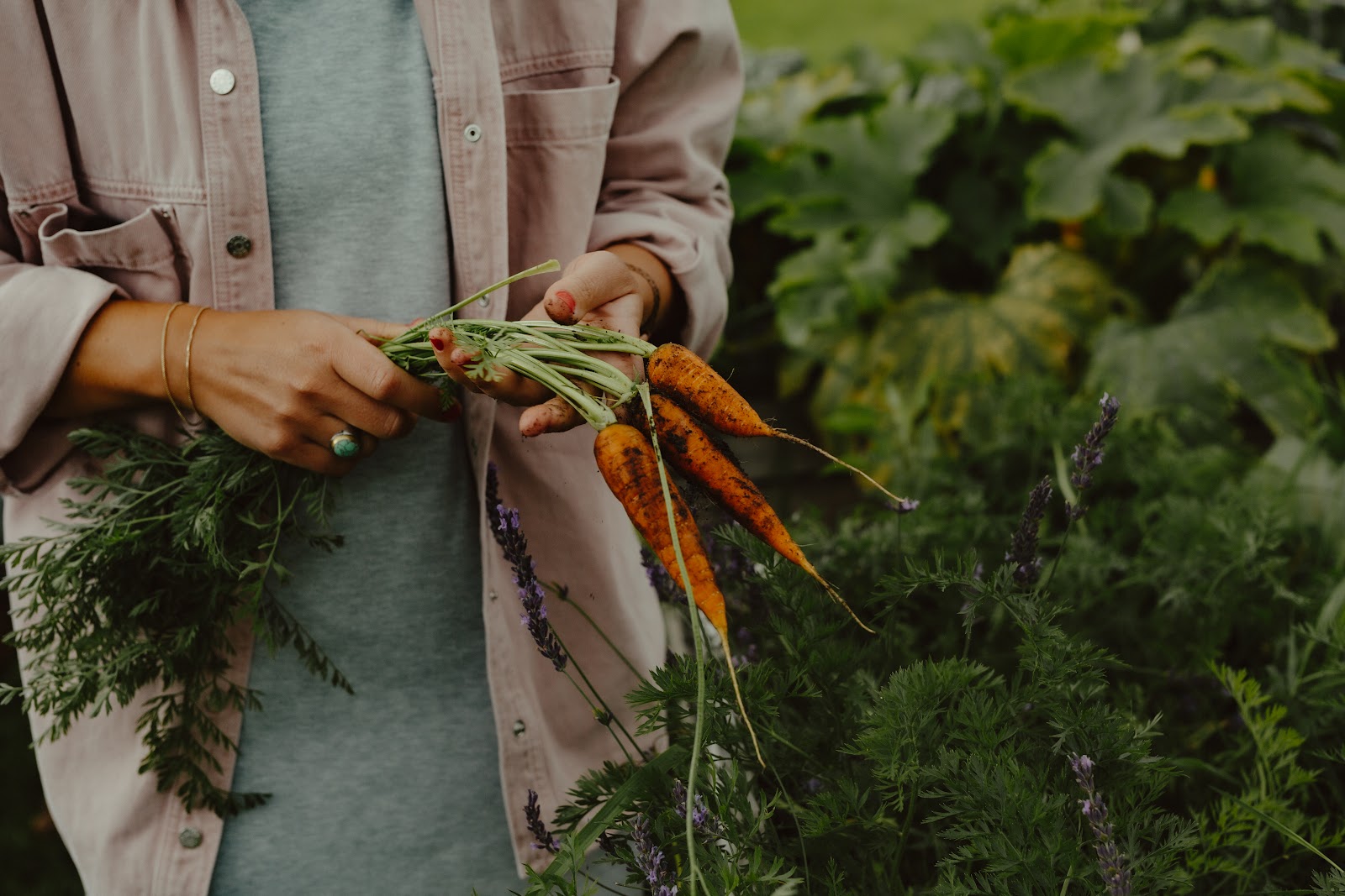 Stadtfarm Hamburg Galerie
