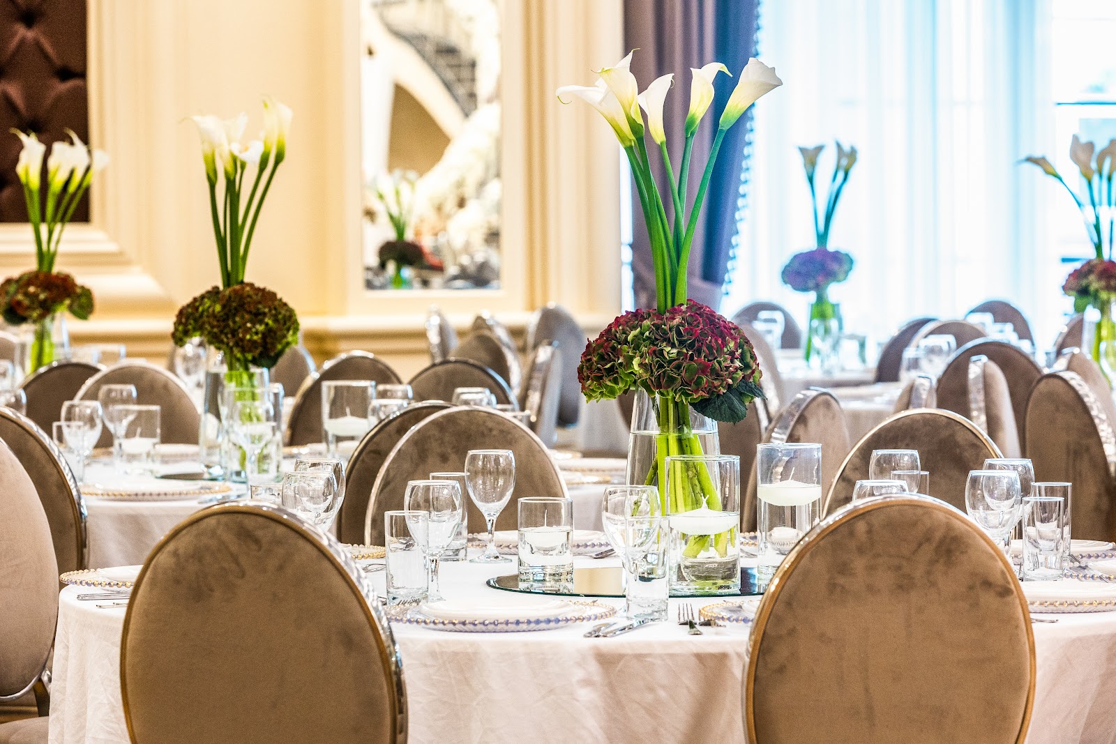 Tek Dream Event Galerie