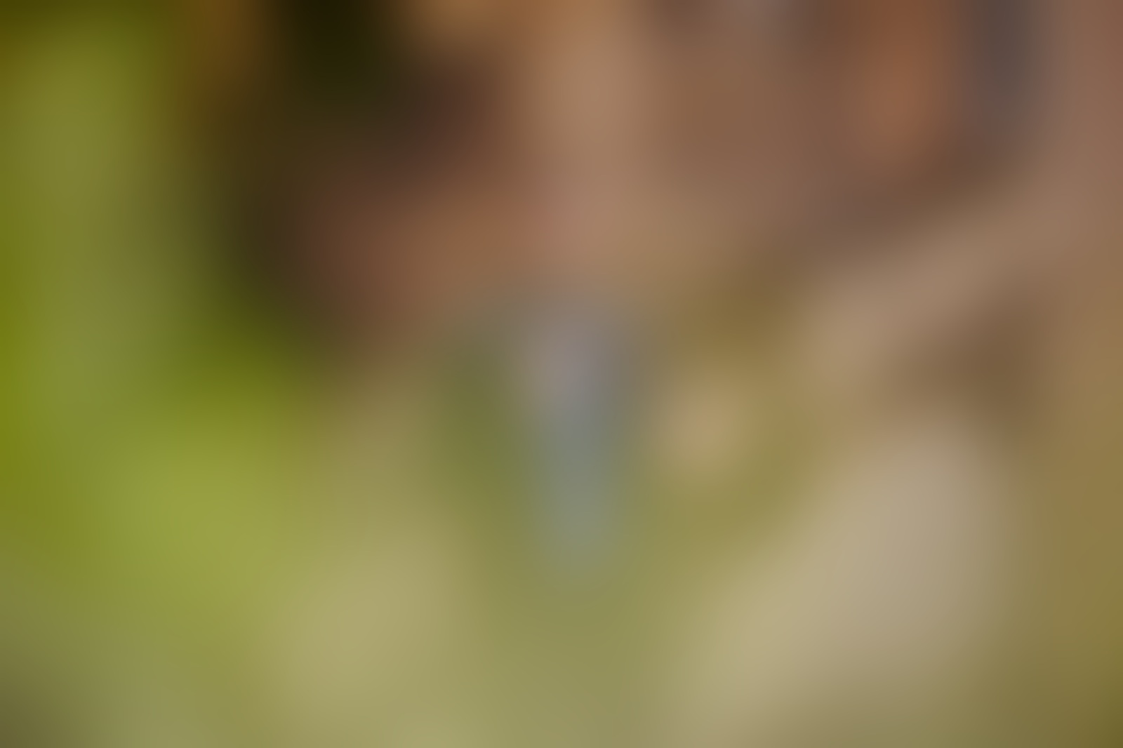 TIMO Trauredner - 01