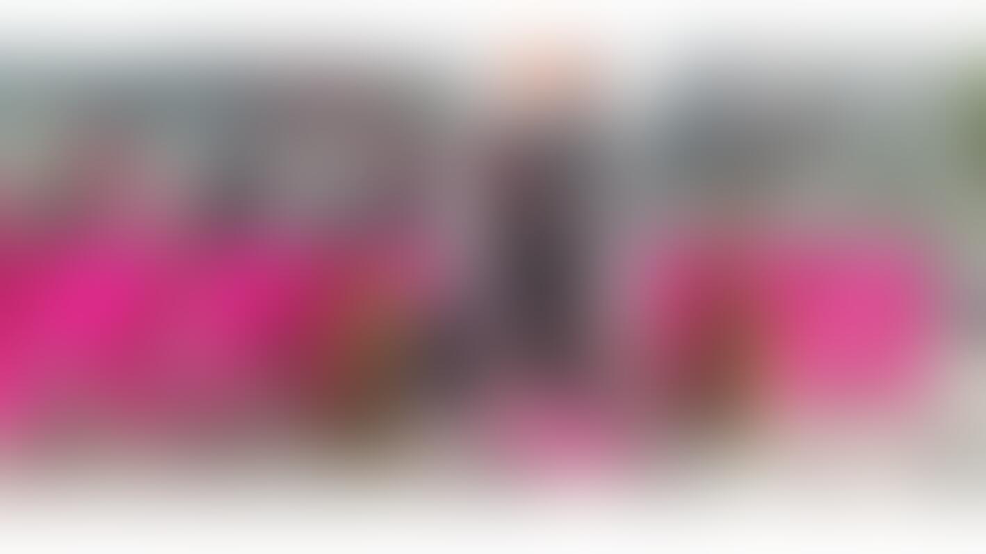 Tortenschmiede Schmidt - 01