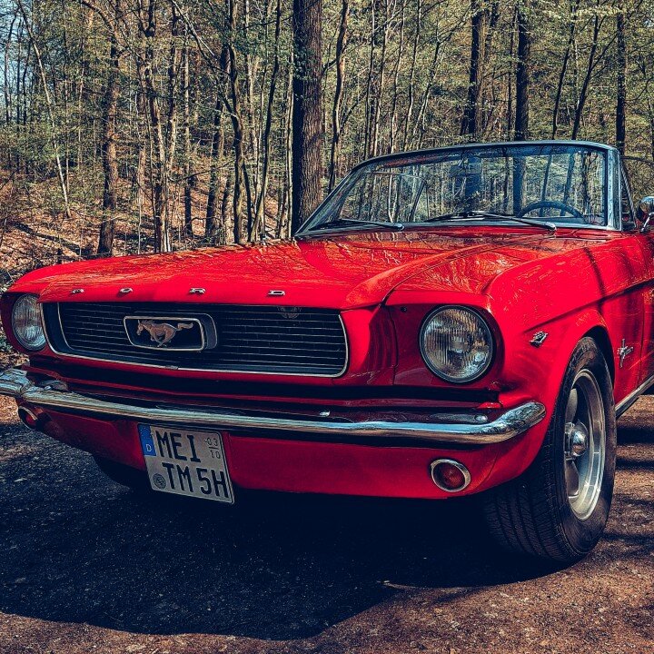 Traum-mieten Galerie