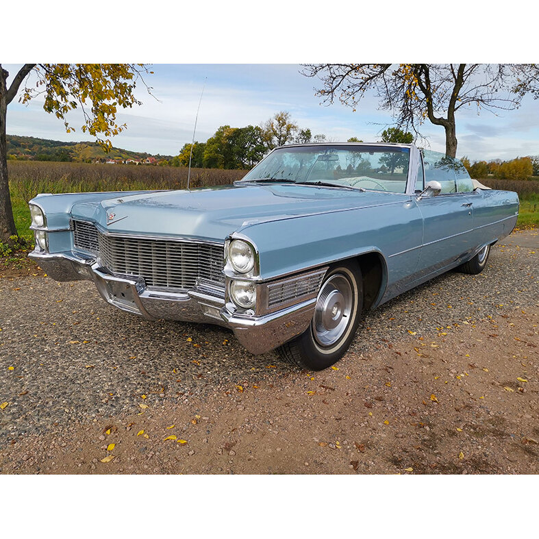 Traum-mieten Galerie