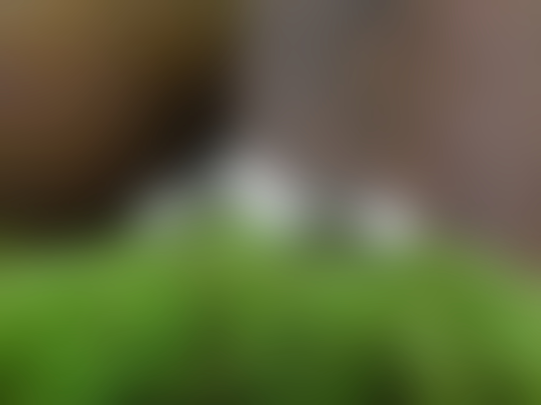 Trauringstudio Sudmann - 01