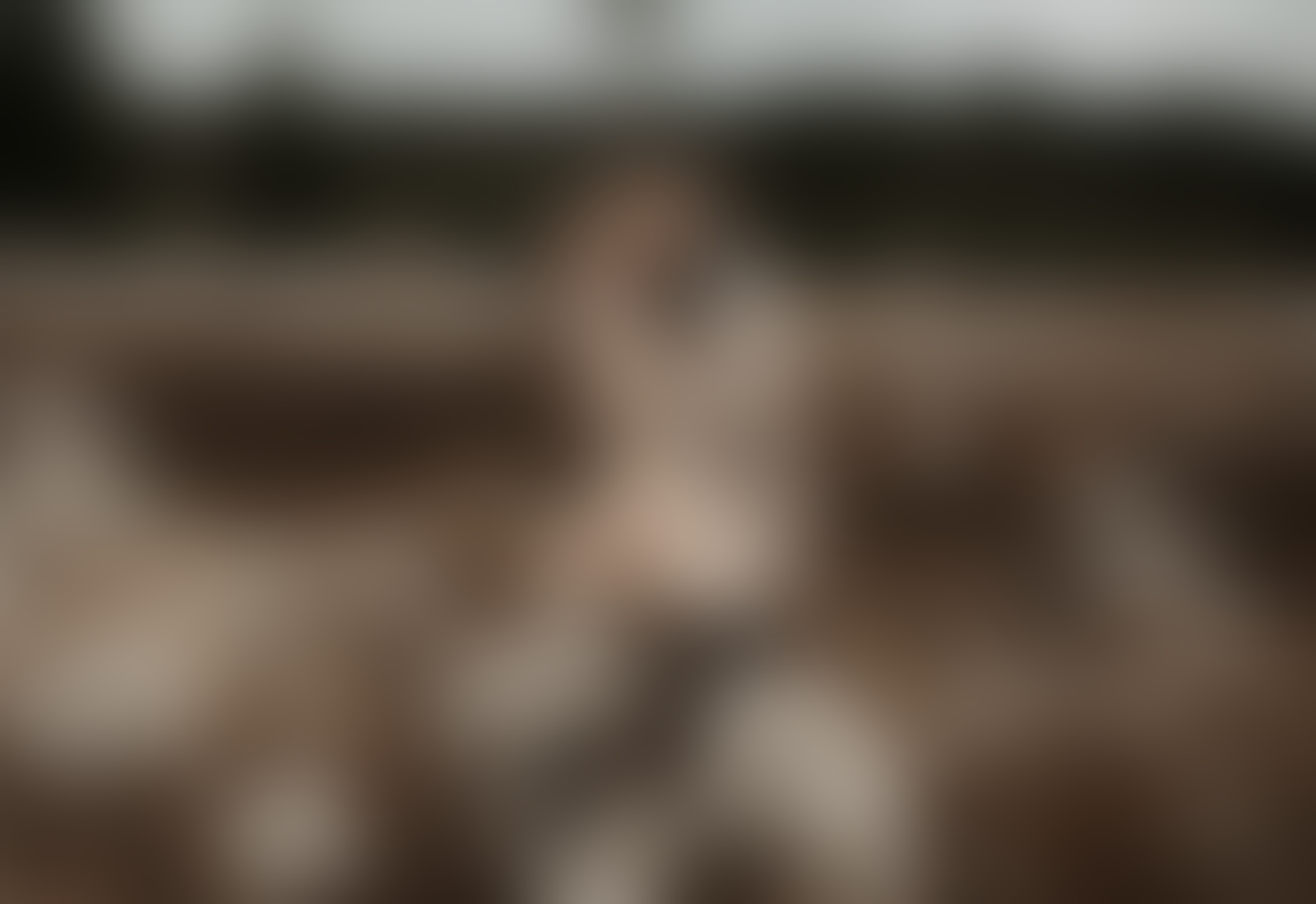 Valerie Kadau Photography - 01