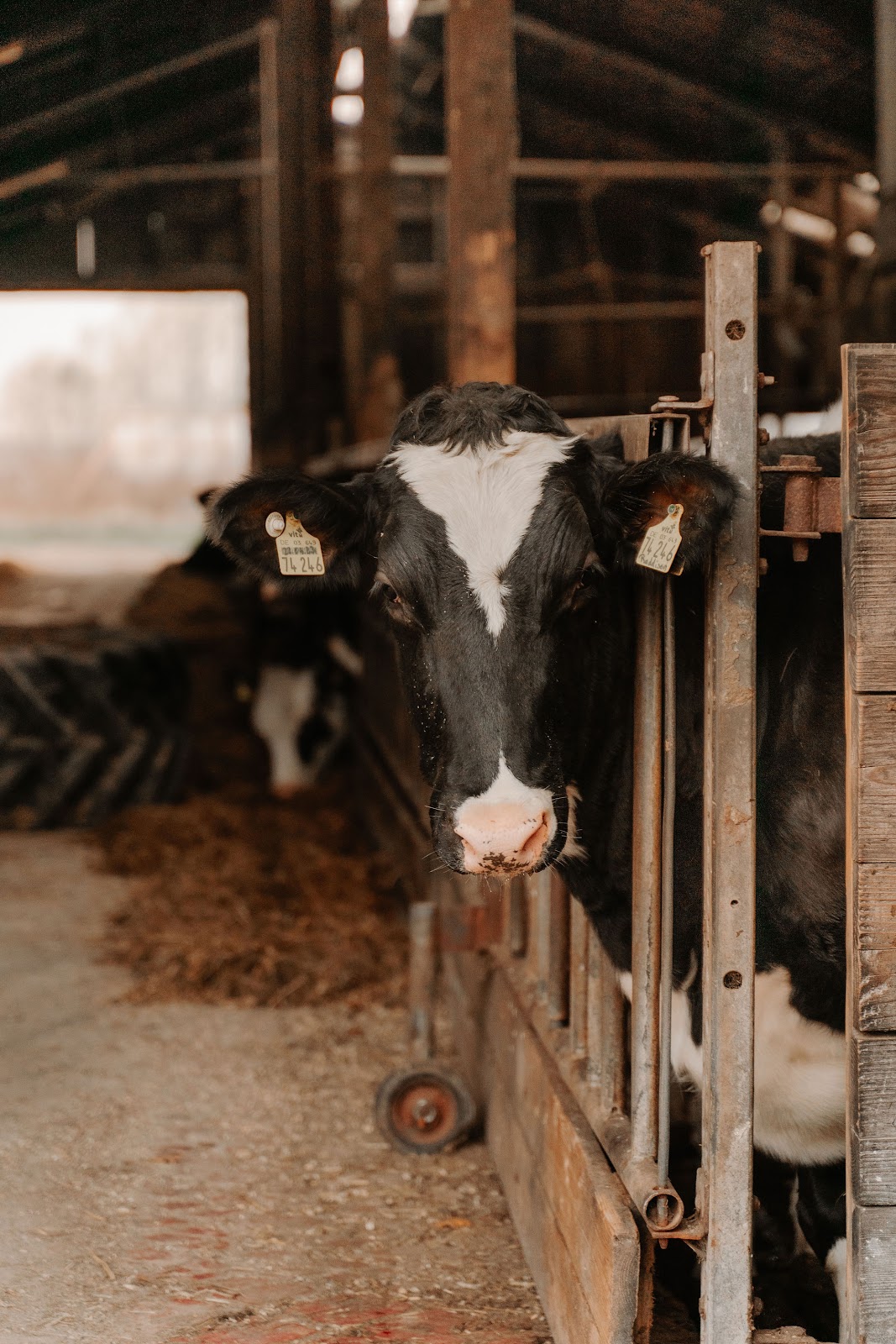 Vossberg Eventlocation Galerie