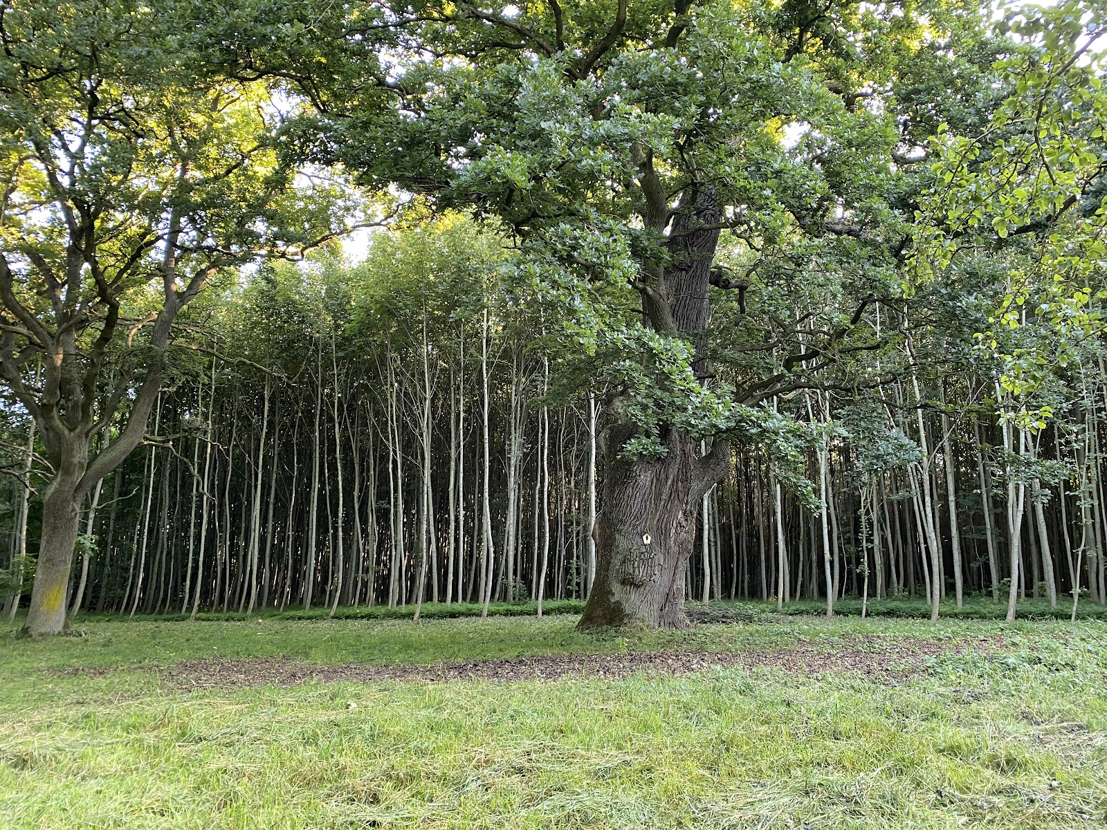 Wasserburg Turow Galerie