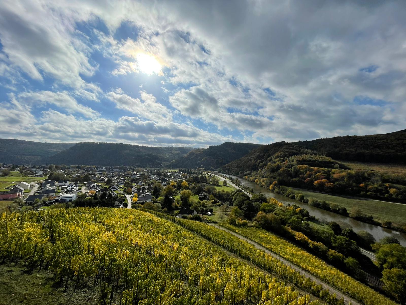 Weingut Schloss Saarstein Galerie