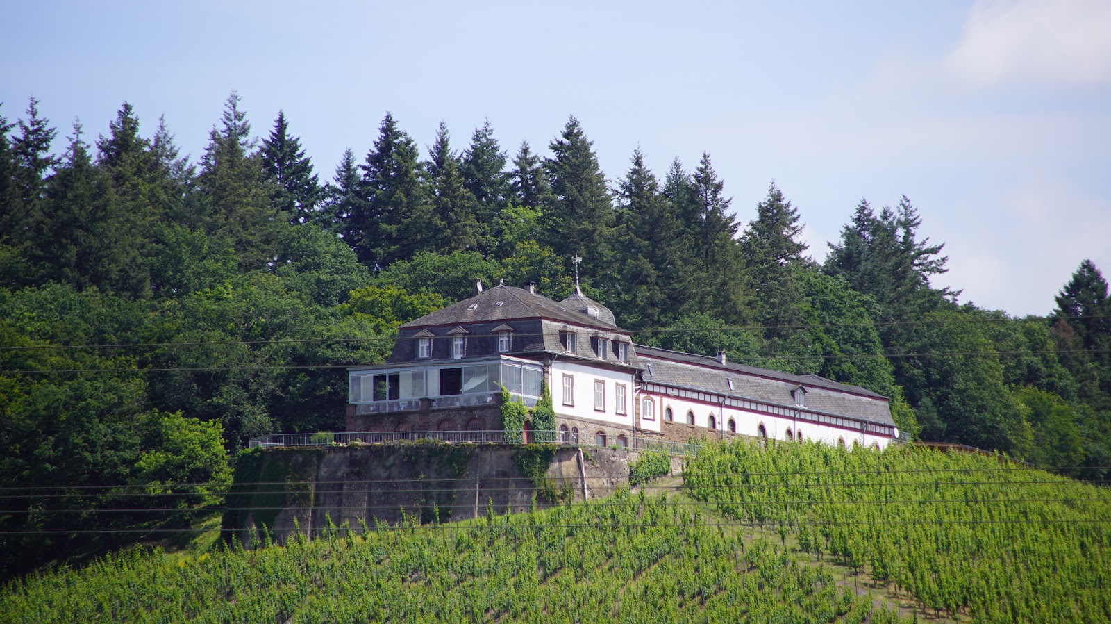 Weingut Schloss Saarstein - 01