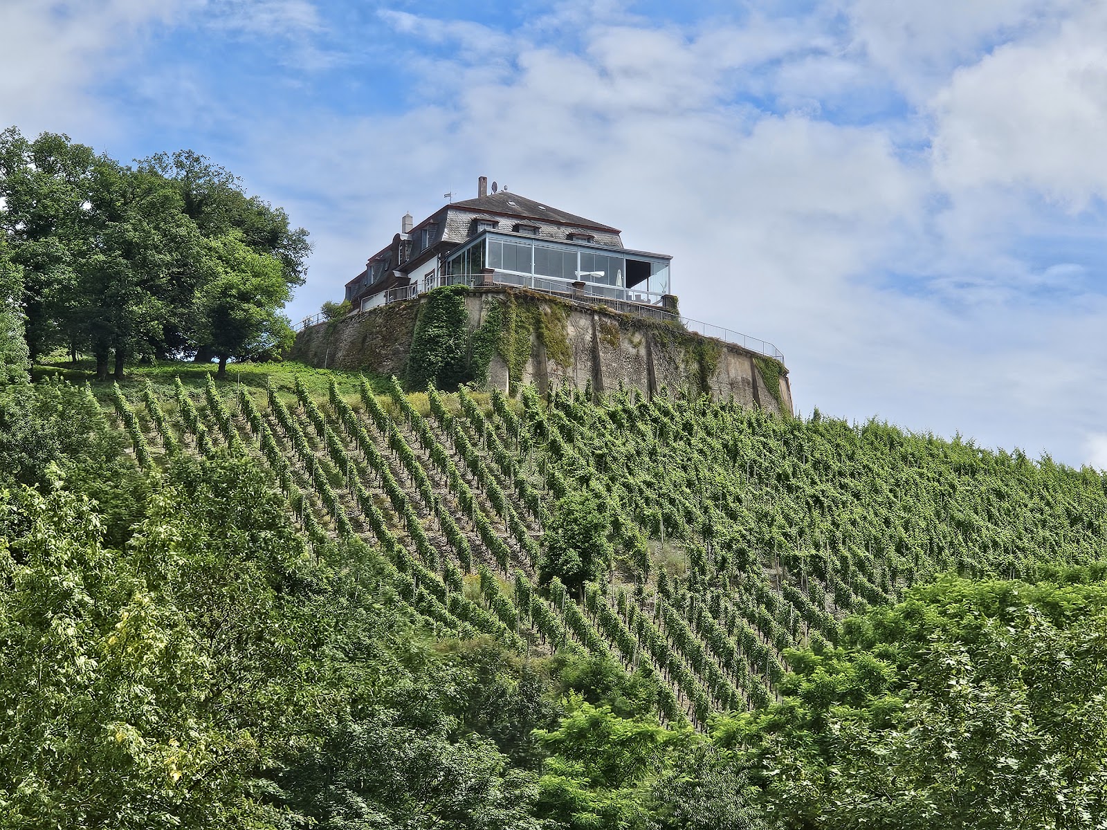 Weingut Schloss Saarstein Galerie