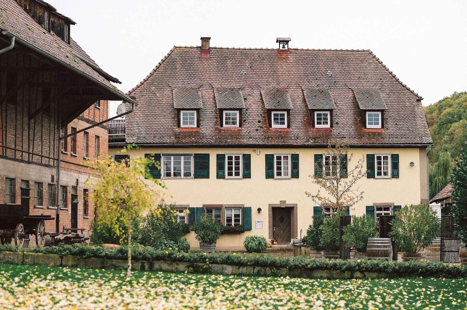 Weingut Steinbachhof und Steinbachhof Event-GmbH Galerie