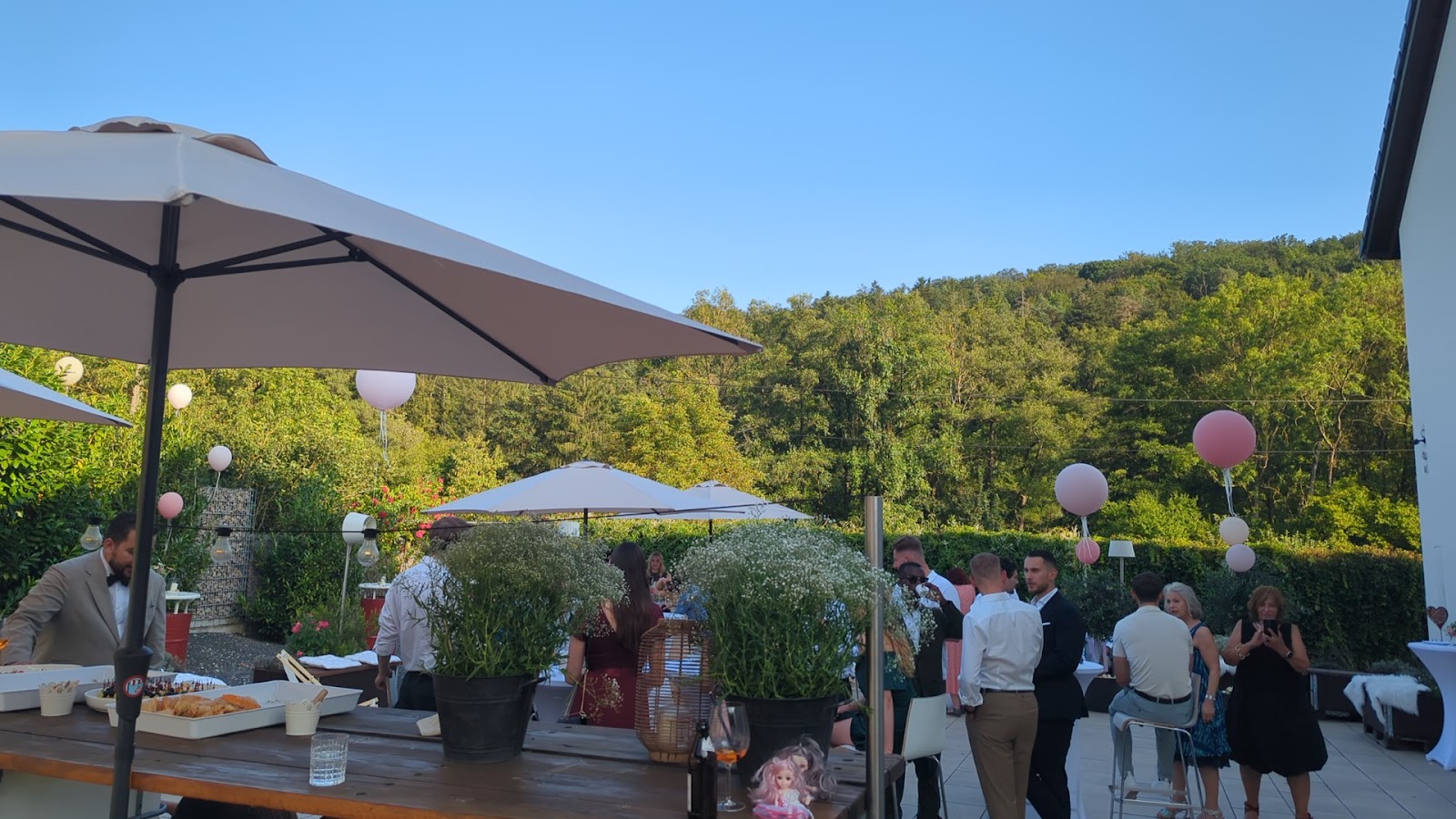 Wiesengrund zum Feiern Galerie