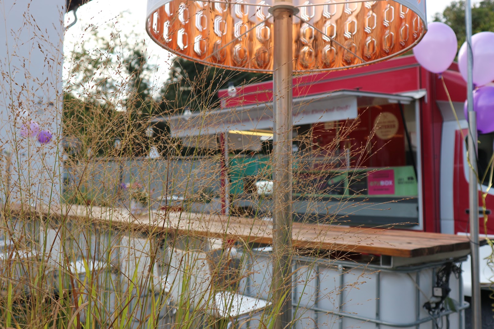 Wiesengrund zum Feiern Galerie