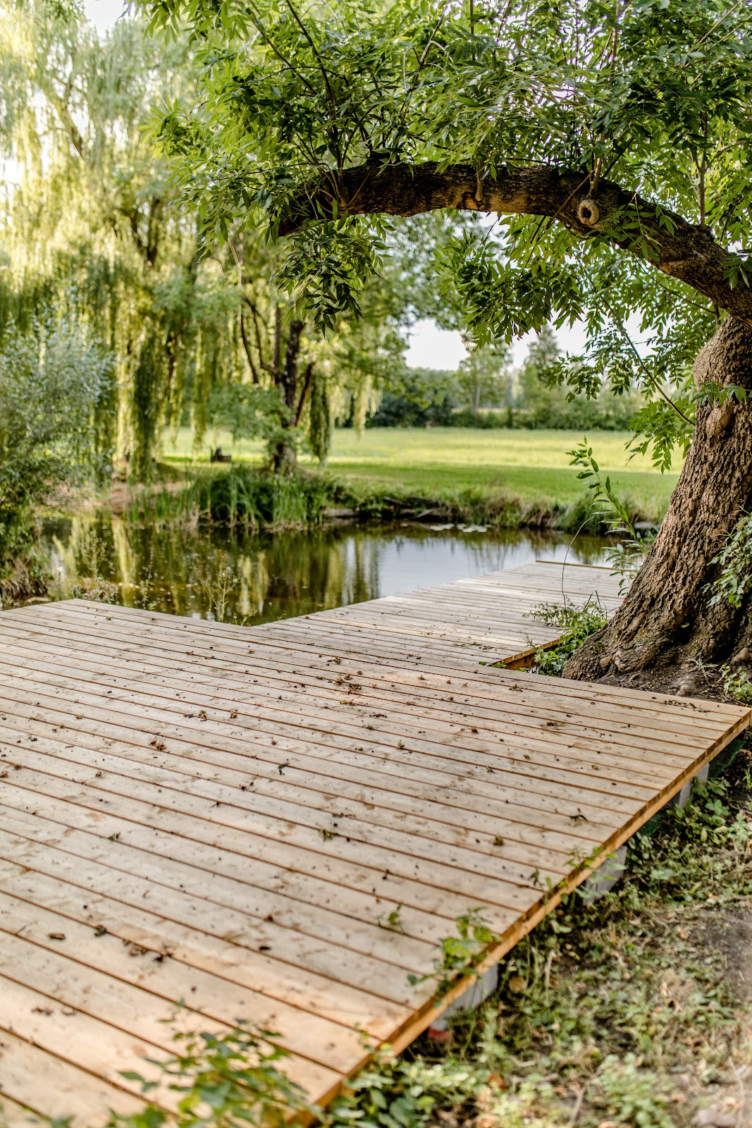 Windy Wedding Hochzeitswiese - 01