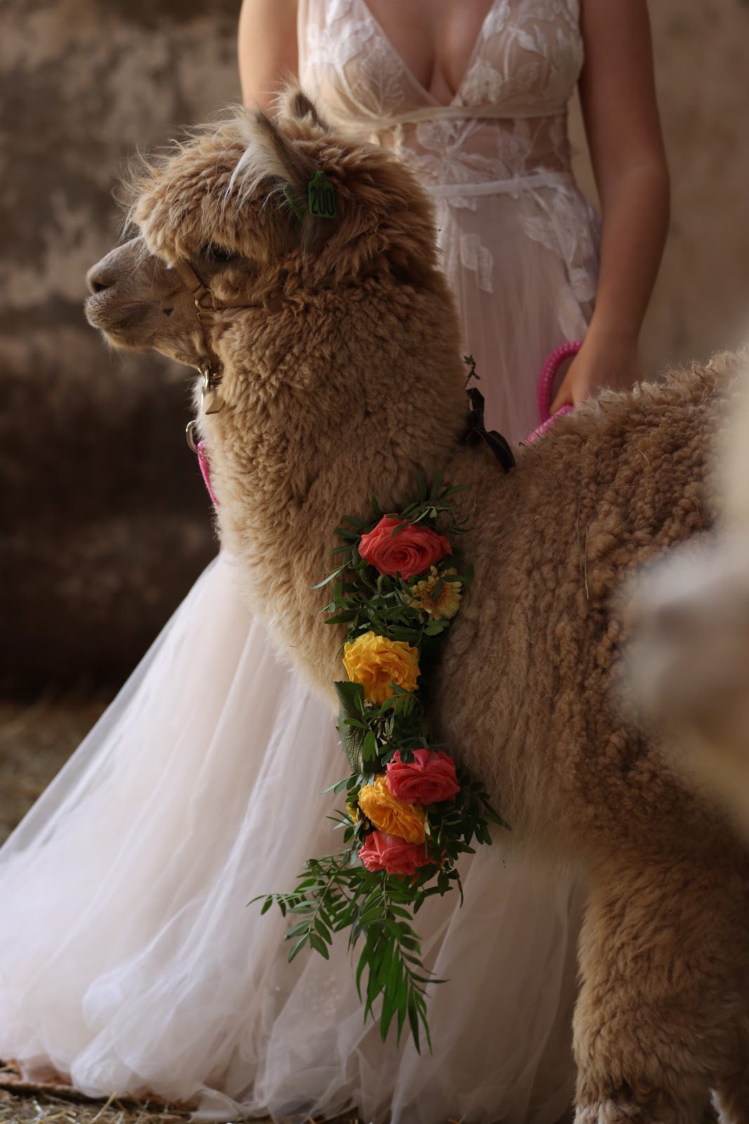 Zaubermomente Galerie